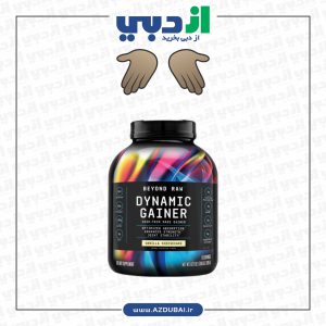 Dynamic Gainer High-Tech Mass Gainer - Vanilla Cheesecake (15 Servings)